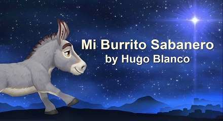 Mi Burrito Sabanero Lyrics Translation in English