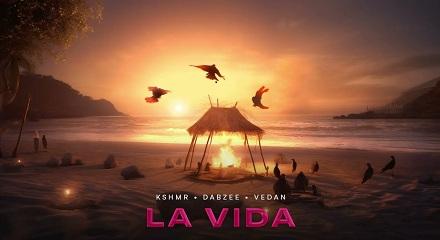 La Vida Lyrics Translation in English